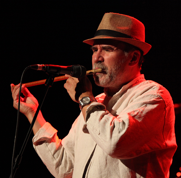 Ale M&ouml;ller, V&auml;rldskulturfestivalen, Eskilstuna 2011